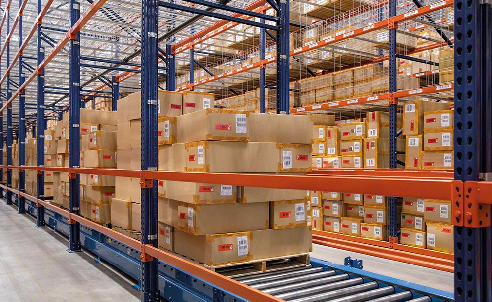 zapatos puma ignite limitless junior