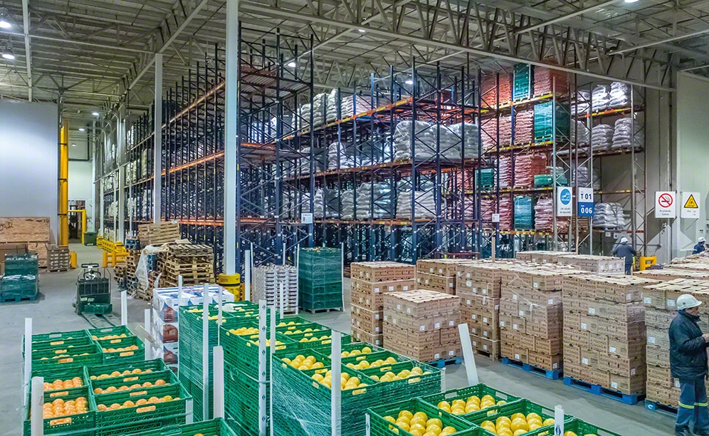 Fresh fruit warehouse of Coto in Argentina Mecalux.co.uk