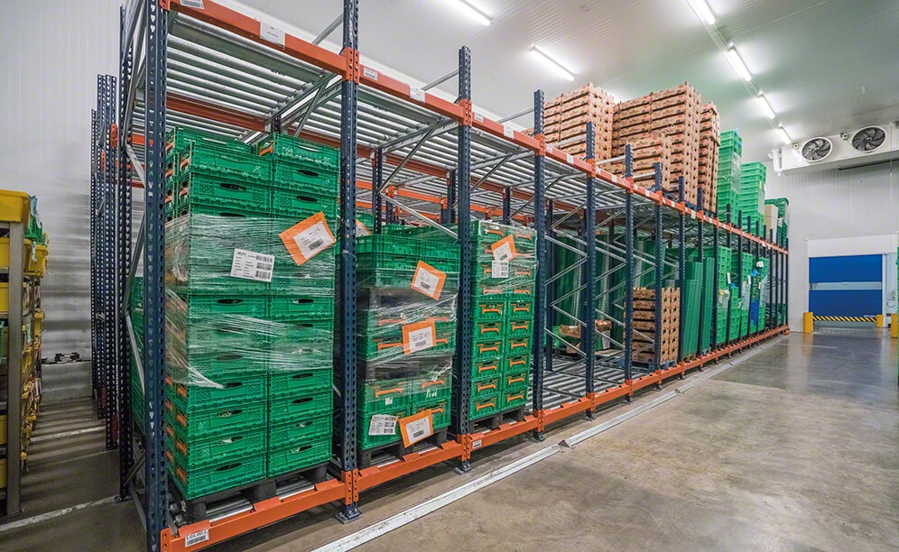 Cold-storage at Grupo Alimentario Citrus - Mecalux.co.uk