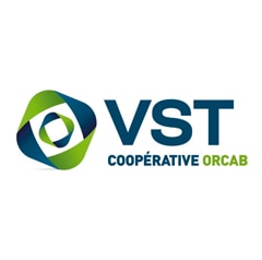 VST logo