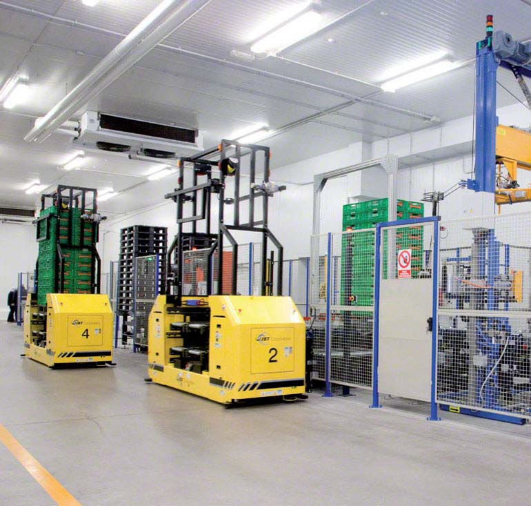Logistics and handling center for fish