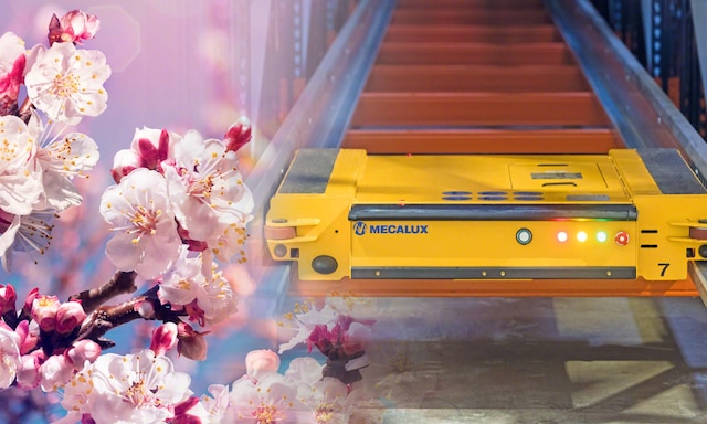 De Prado boosts production with the Pallet Shuttle system managed by Easy WMS De Prado boosts production with the Pallet Shuttle system managed by Easy WMS
