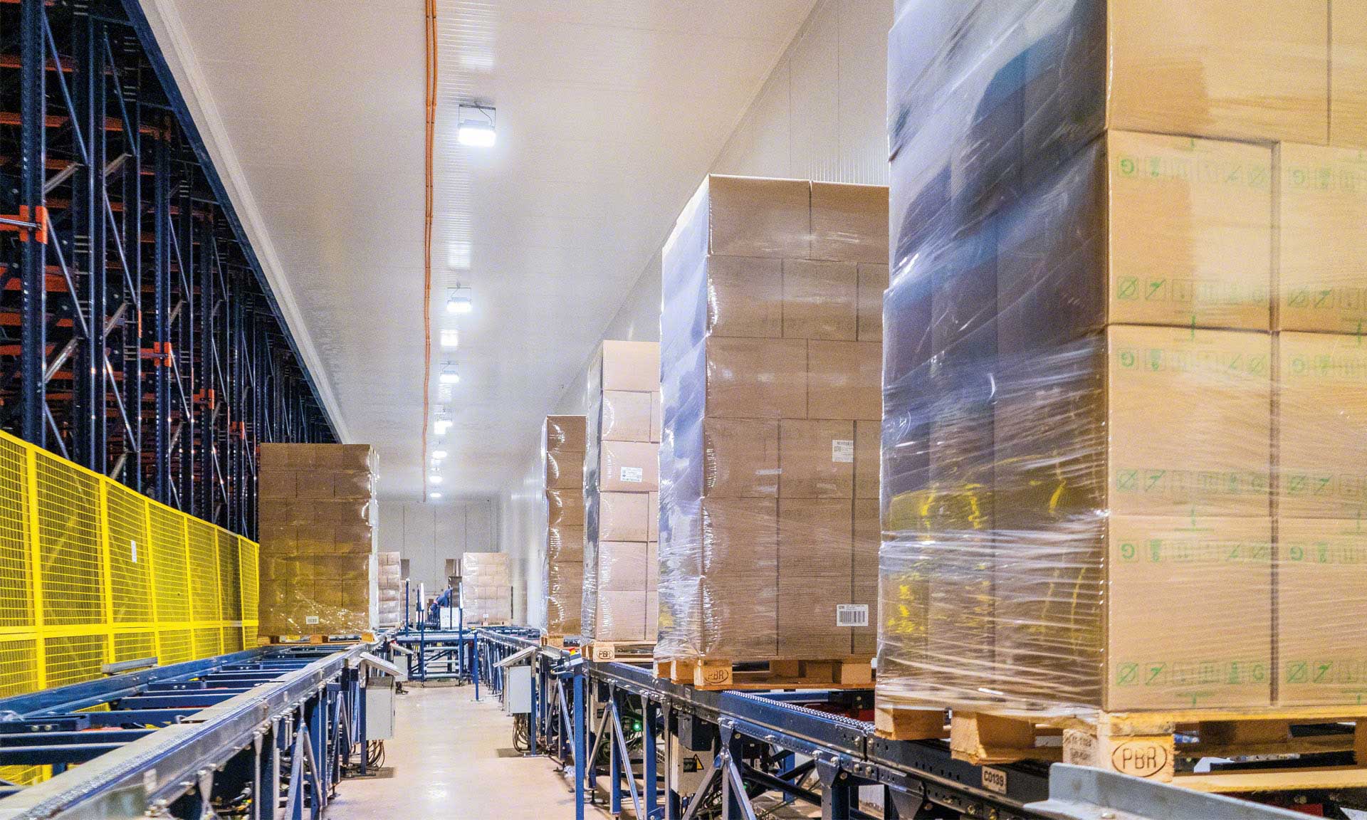 Bem Brasil manages 500,000 tonnes of frozen food with the Automated Pallet Shuttle Bem Brasil manages 500,000 tonnes of frozen food with the Automated Pallet Shuttle