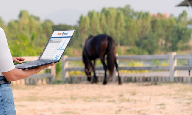 Canagri’s warehouse for agricultural and livestock products in Małopole