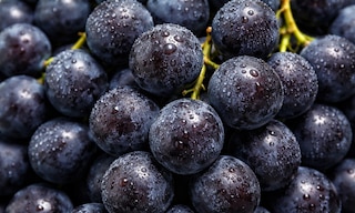 NRJ Wines supports growth and new 3PL services with Easy WMS
